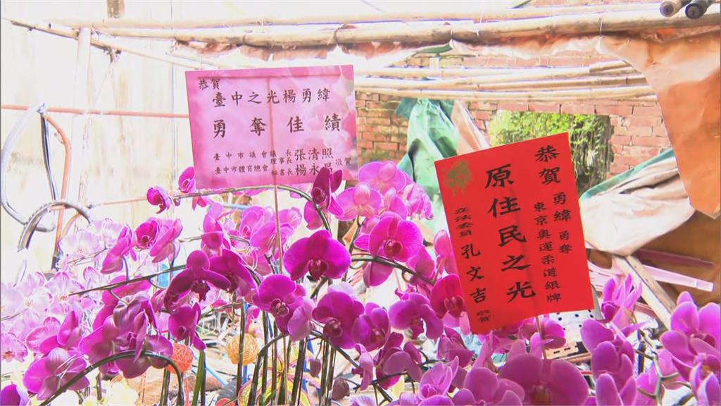 楊勇緯光榮返家鄉親鳴炮祝賀　阿嬤殺雞補身