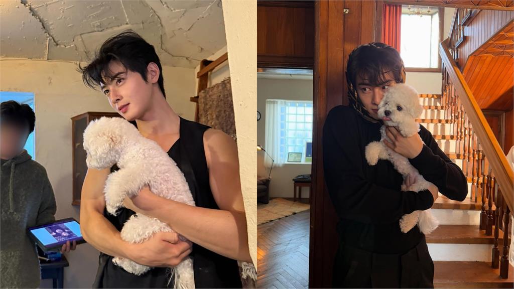 車銀優涉嫌用「母親公司」逃漏稅200億！經紀公司火速發聲：已提異議