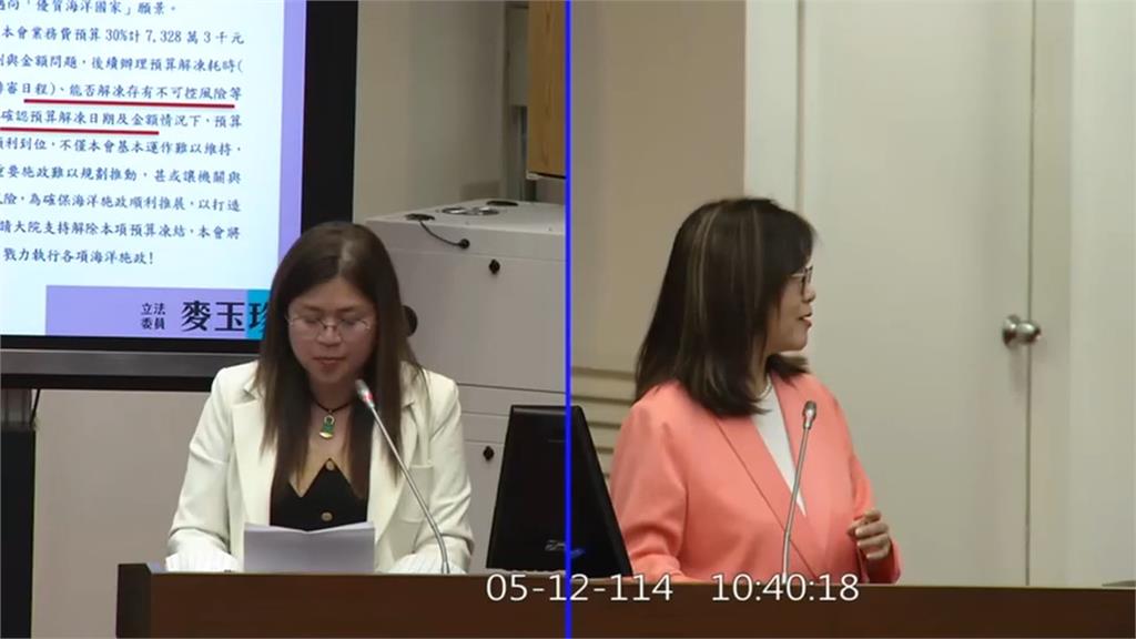 傻眼！麥玉珍喊對31案有意見　主席：今天只討論4案