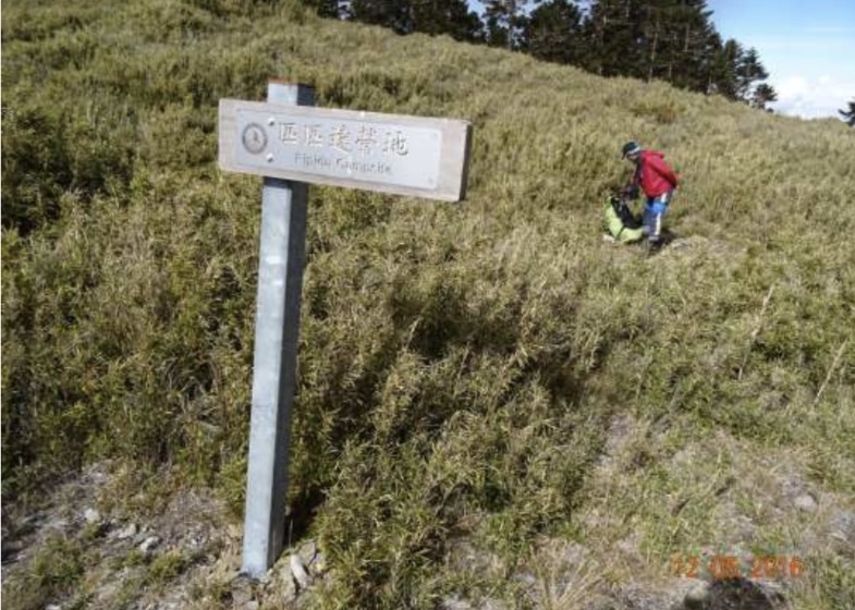 雪霸國家公園變身銀白世界　武嶺「雪地騎馬」恐觸法
