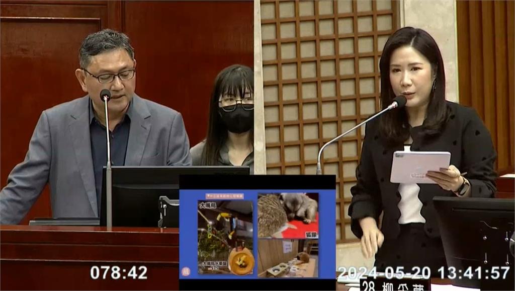 寵物咖啡廳涉違法展演 動保處長消極態度 議員嗆:下台