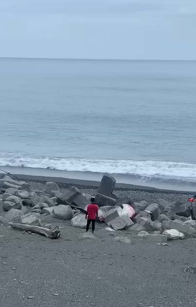 快新聞／5公尺鯨鯊擱淺東海岸死亡　吊掛送台南成大研究