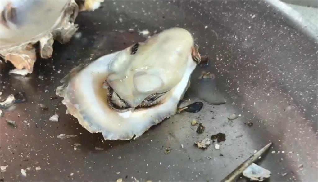 嘉義烤蚵餐廳爆食物中毒　民眾轟店家反悔不負責