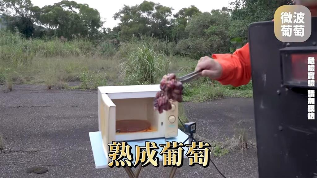 不能加熱?將1串葡萄放進微波爐實測 谷阿莫曝驚人結果網讚:安全第一