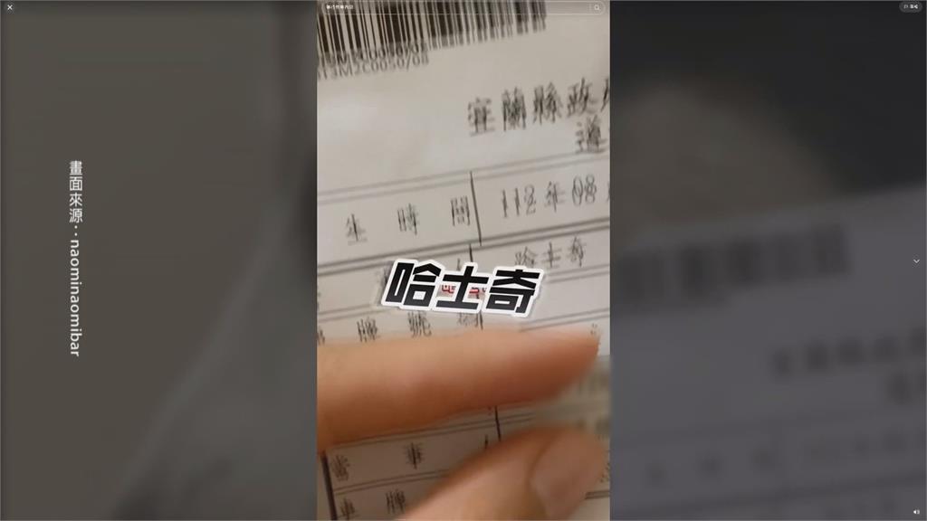闖禍了！亂跑釀車禍　哈士奇被罵一臉呆萌