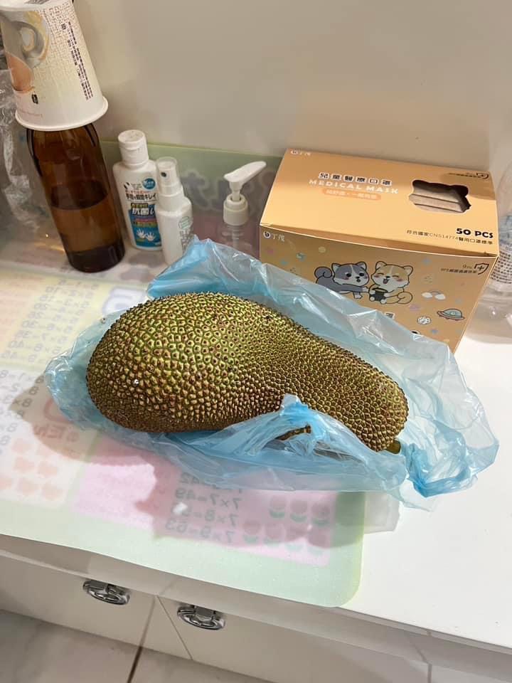 快新聞/超荒謬!基隆民宅深夜飄濃厚瓦斯味 兇手竟是它
