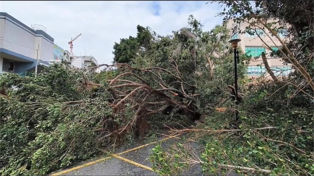 山陀兒強風橫掃　高雄前鎮高中圍牆倒塌