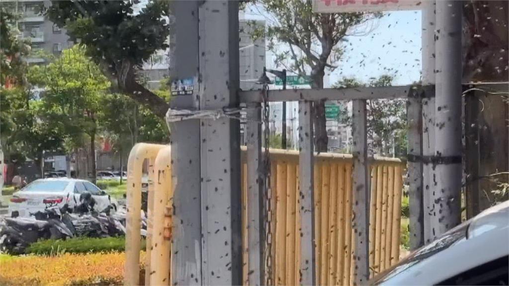 捅到發財窩?　車行當天成交3單　老闆:訂單"蜂擁而至"