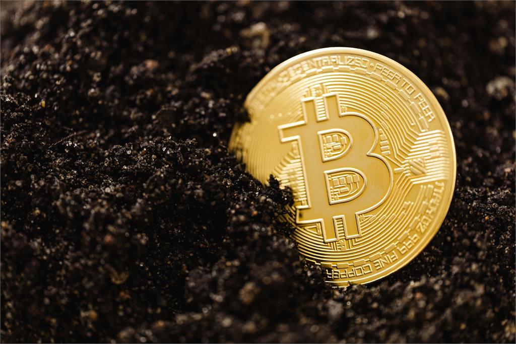 遠古巨鯨現蹤!緊抱2千枚比特幣14年「成本4300元」驚人現值曝