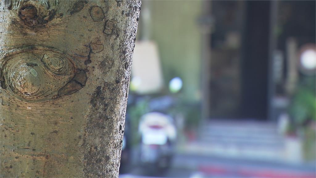 不滿餐廳進貨太大聲擾清夢！　內湖婦暴氣「蛋洗」餐廳大門