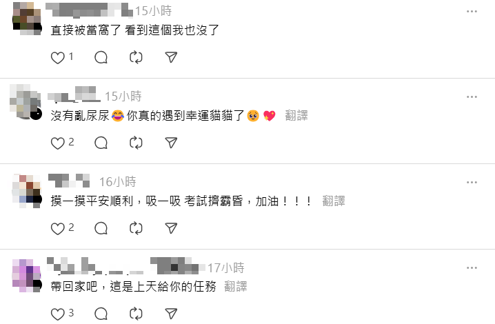 小貓