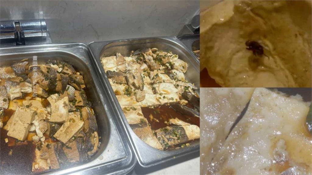 誇張！樂天伙食有「死蒼蠅.活蛆」　球團回應了