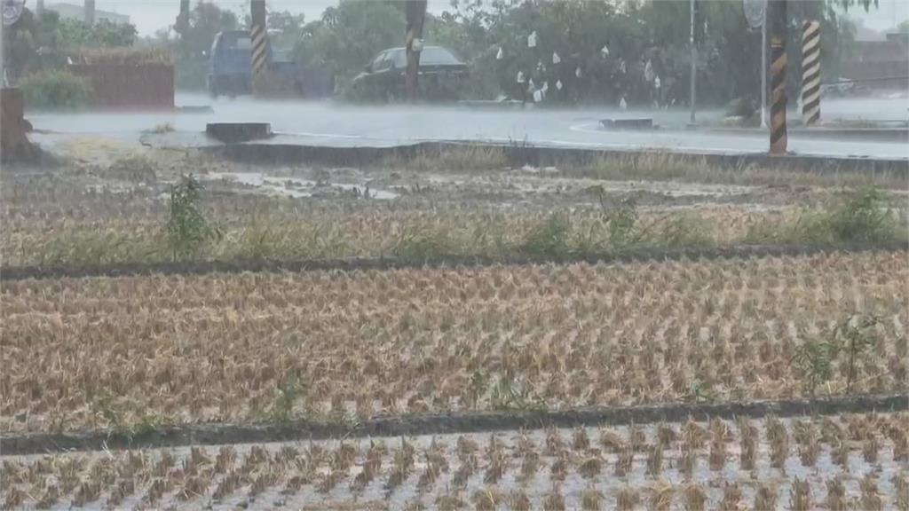「米廠爆倉+梅雨季」雙重夾擊　「交穀塞車」農民憂心血泡湯