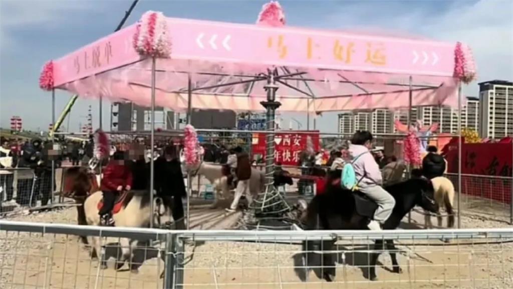景區驚現「旋轉真馬」主打：馬上轉好運！網怒喊：虐待動物「官方火速撤除」