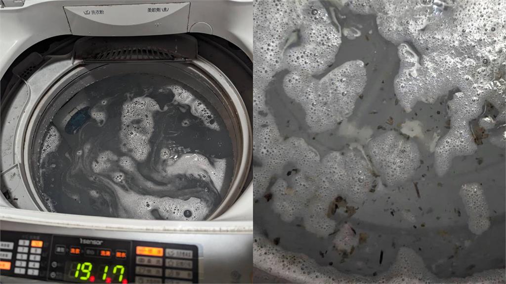 妹子租屋清洗衣機！竟洗出「整桶海帶湯」嚇壞…過來人曝這1物最有效