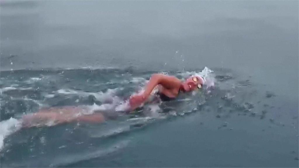 挑戰南極海域游泳最長紀錄 智利女泳將45分鐘游2.5公里