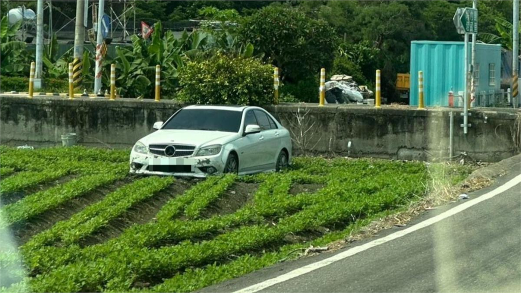 新型裝置藝術？賓士車停花生田裡引拍照打卡！「真相曝光」車主尷尬了