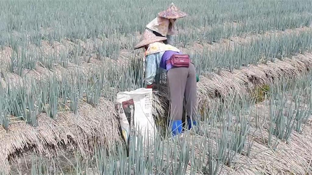 中颱杜蘇芮路徑南修 氣象局晚間8點半發布海警