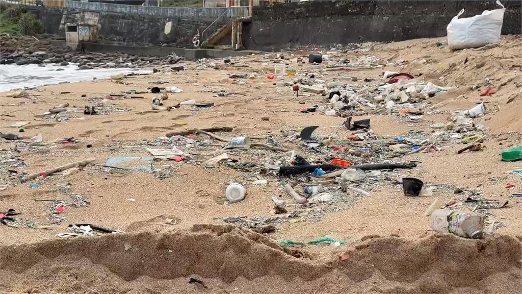 去年拿到台灣護照成正港「台灣人」　慶生變淨灘　藝人安妮：最棒的生日禮物