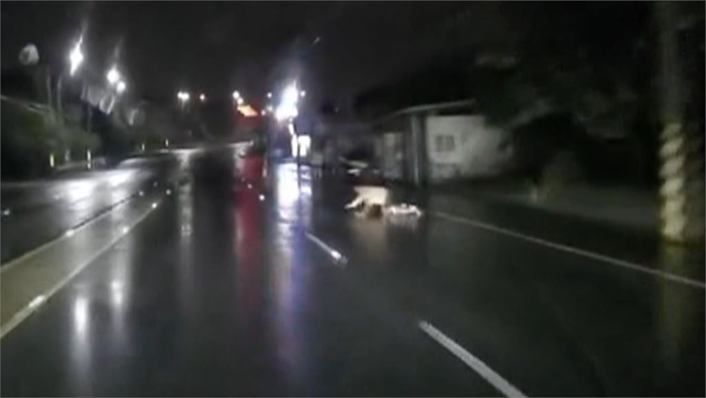 台中騎士闖紅燈"棄車逃逸" 苗栗馬路驚見"行人地上爬"
