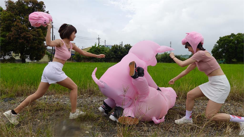 《綜藝新時代》種豬射精的時間可「隨意控制」!浩子超歪大嘆「深奧」