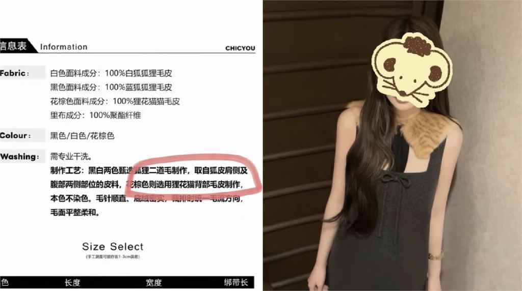 百萬粉絲網美店賣「貓皮衣」遭抵制！網怒揭恐怖內幕：連化妝刷淪陷
