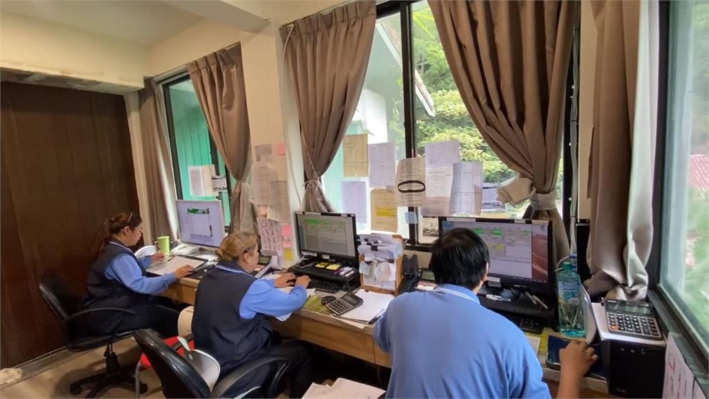 武陵櫻花季訂房開搶　不到3分鐘銷售一空