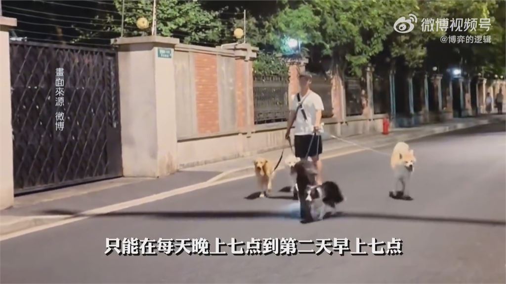中國杭州白天禁遛狗! 違反恐挨罰約4800台幣、扣留毛小孩