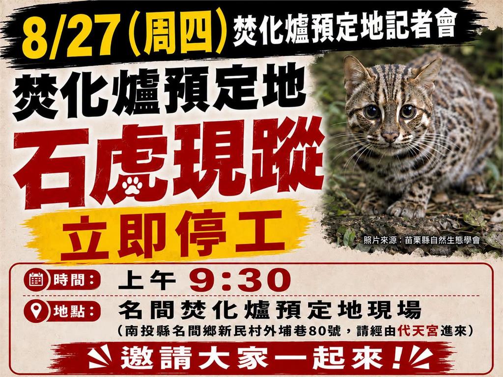 快新聞／石虎出現了