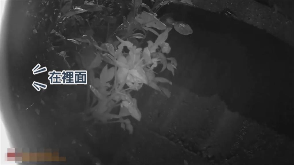 7旬婦摔落水溝躲涵洞　度過低溫夜晚獲救