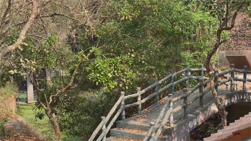台灣趴趴走/龍崎人的秘密花園 日夜都好玩的虎形山公園