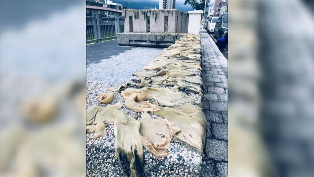 酸菜曬日光浴? 民眾怒PO網質疑霸佔公共區域