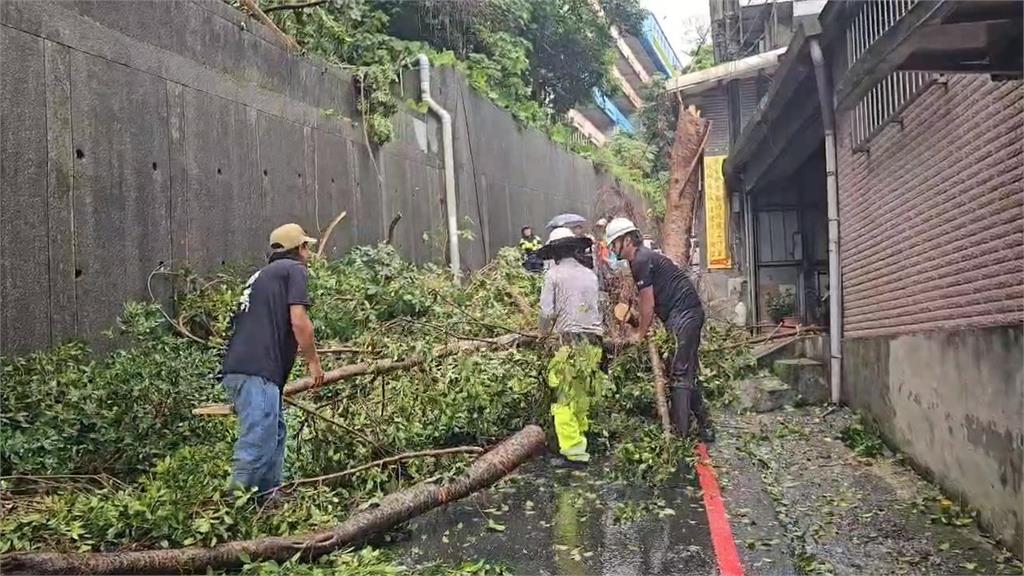 基隆修樹不慎驚傳意外　樹幹倒塌砸中民宅
