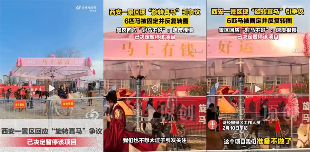 景區驚現「旋轉真馬」主打：馬上轉好運！網怒喊：虐待動物「官方火速撤除」