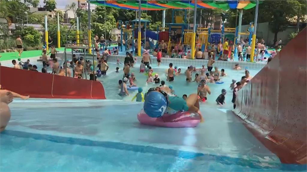 銅板價！清涼消暑好去處　台南市立游泳池重新開張三週破萬人入場