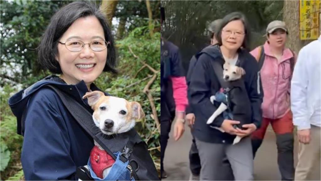 綠營「喘說對決」狂揪爬山、PK體力!蔡英文「揹娃負重」網震撼:竟然不喘