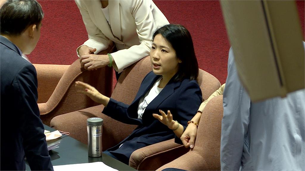 「替家人墊100萬」金流說不清 徐巧芯列詐欺、圖利罪被告