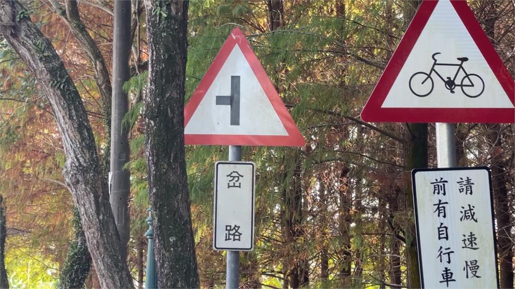 您看過這個嗎?道路標誌如同「非」字的一半 原來是「多岔路口」