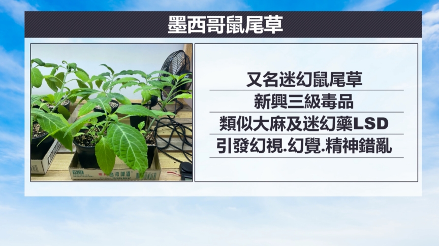 彰化雜貨店「買賣槍枝零件」　警搜索發現密室種植大量毒品