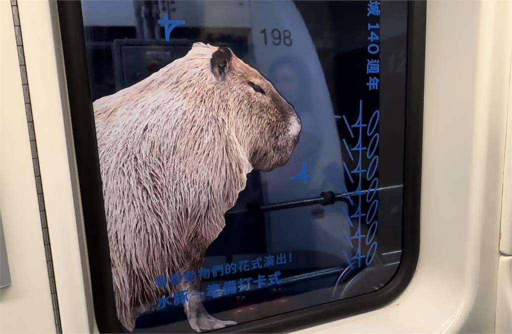 台北市立動物園歡慶110週年! 打造超萌動物主題車窗