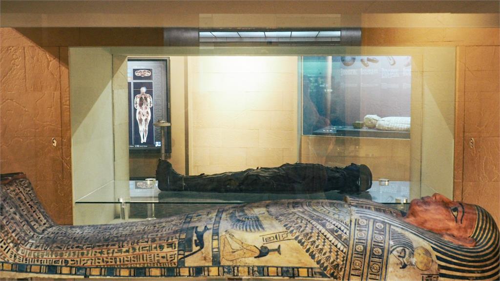 台中木乃伊是「真屍」！科博館證實存在2千年　網嚇壞：難怪經過頭暈