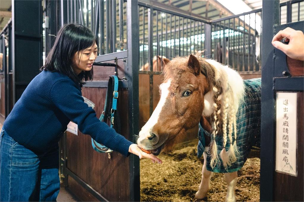 快新聞／歡喜迎馬年！蘇巧慧化身一日馬場照護員　沈伯洋竟成「Q毛本尊」？