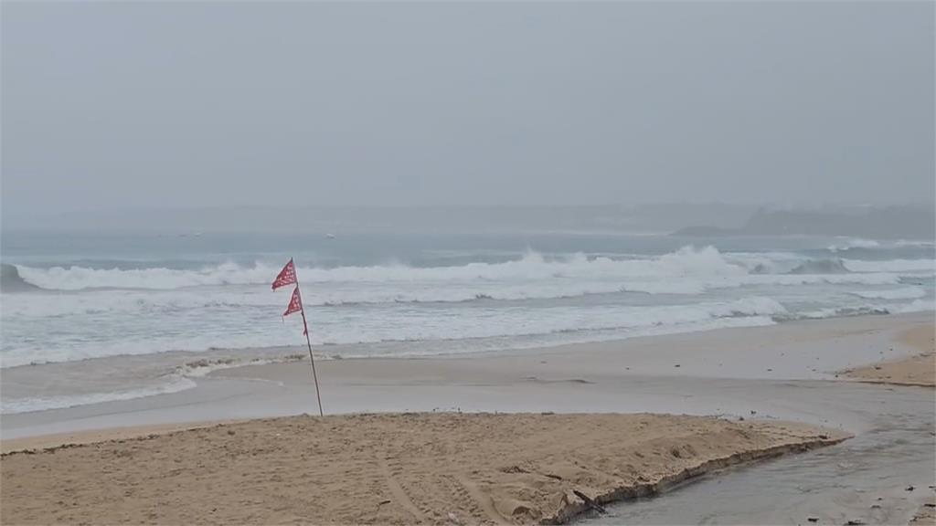 梅雨狂炸! 恆春現"颱風級暴雨" 海生館樹遭吹倒