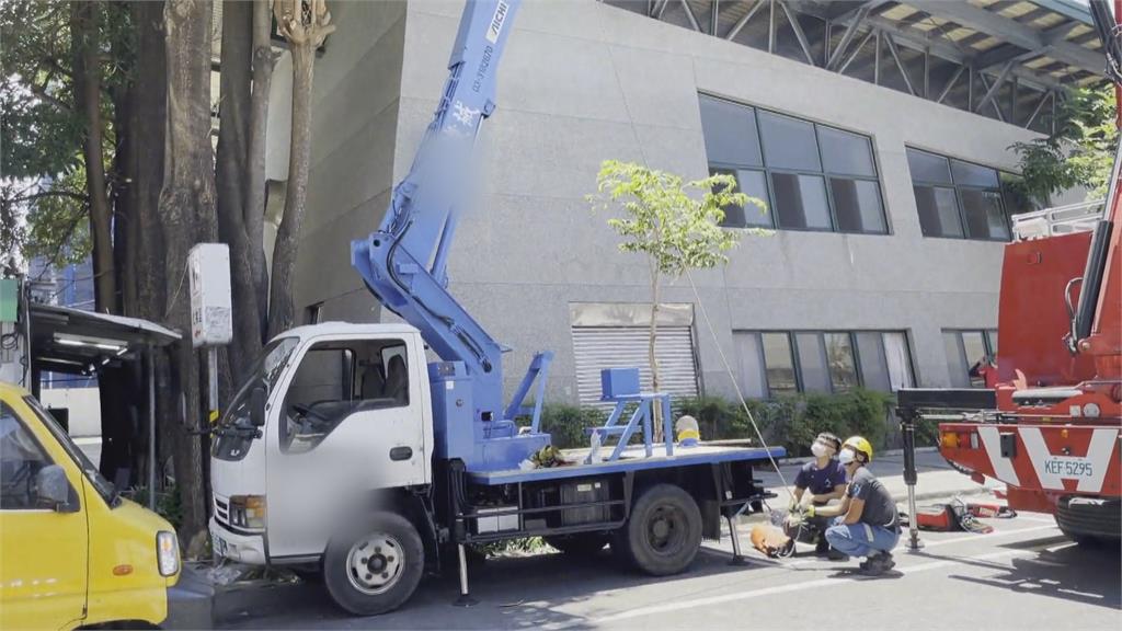 高空驚魂記 工人剪路樹受困吊籃救援直擊