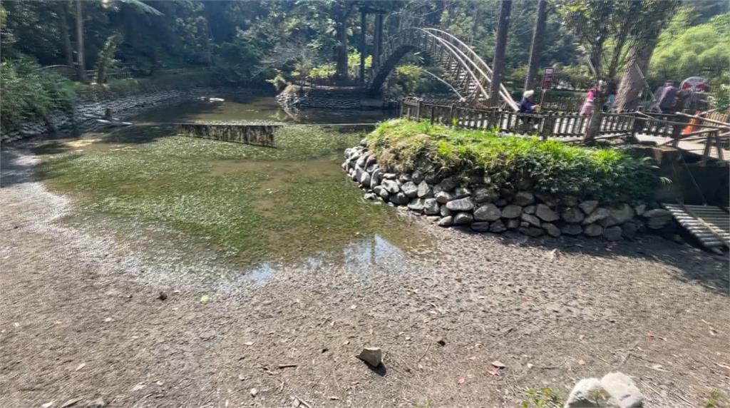 水情吃緊!溪頭大學湖快見底 專家籲:節約用水