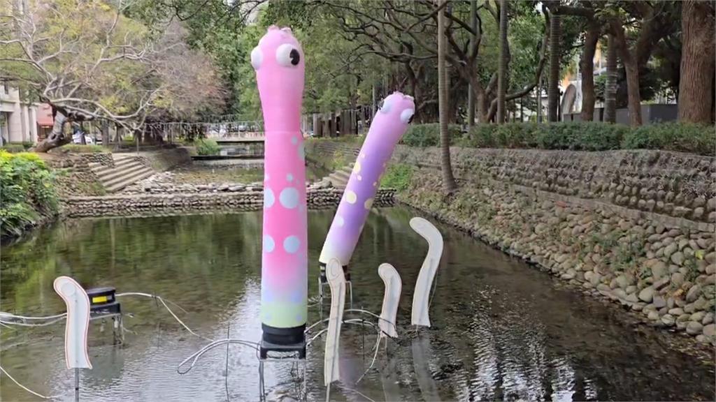 蛇麼都沒有？　新竹燈會花870萬元　民眾逛完好失落挨批史上最雷燈會