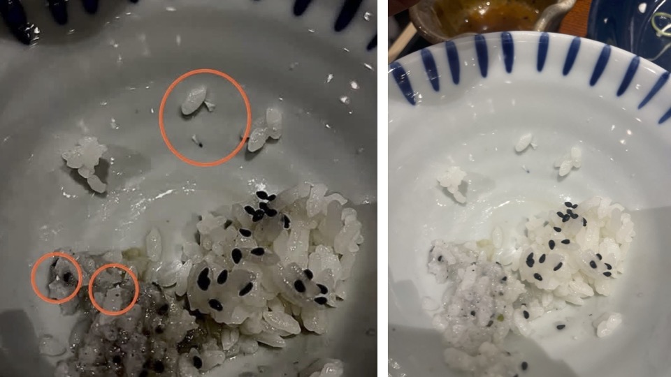 台中日式定食「吃到疑陶瓷碎片」　家長、孩子口腔刮傷！業者致歉