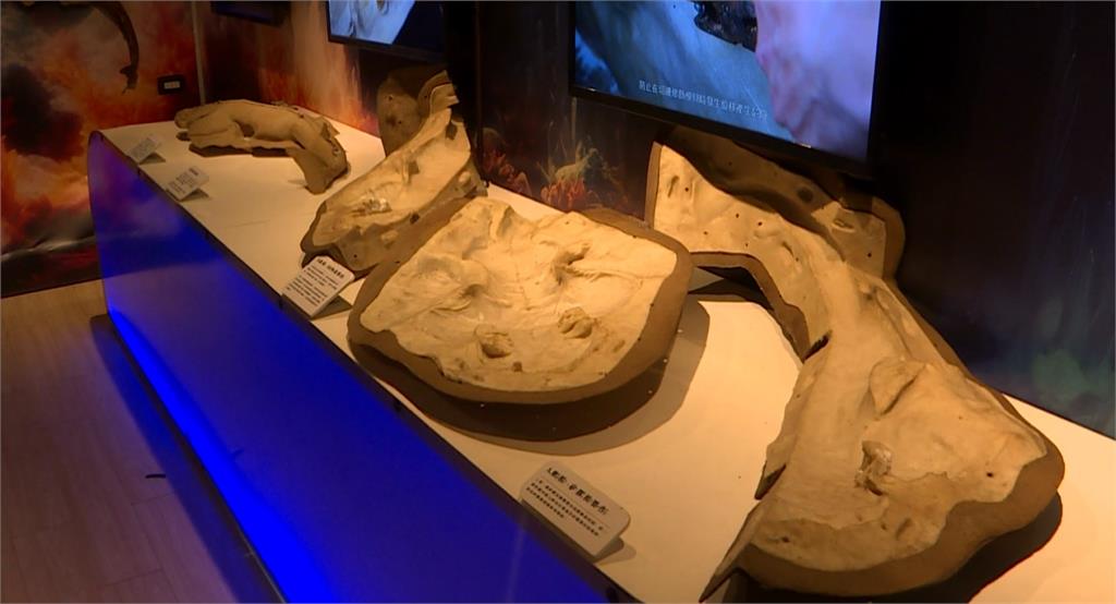 桃園竹圍魚鱻節邁入第20週年 推出「食魚教育貨櫃展」