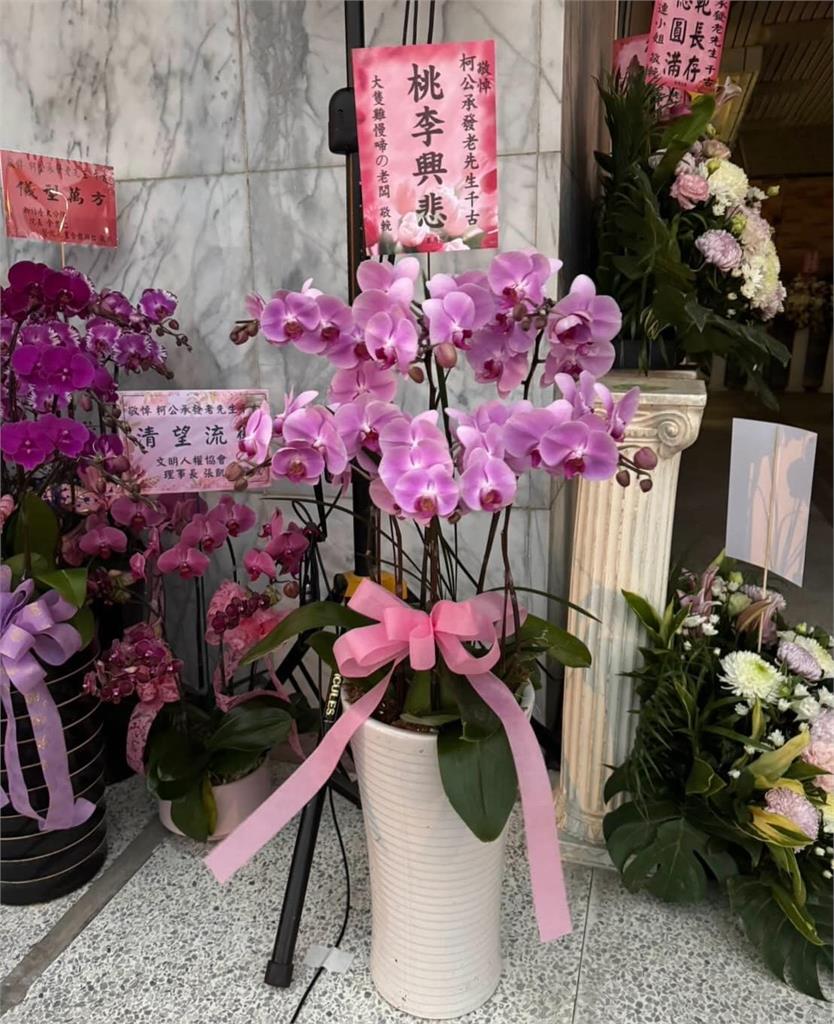 陳佩琪喊「司法不公」小草幫嗆聲!四叉貓反擊「22字」再酸:全家都戲精