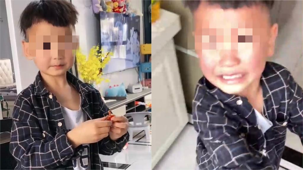 小龍蝦寵物被端上桌!5歲萌孩大哭跟媽翻臉 母親無奈:他吃挺多的